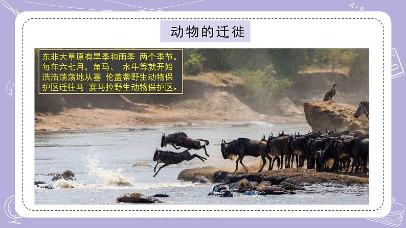 苏教版科学六年级下册2.8适应生存的本领 教案+课件PPT+素材05