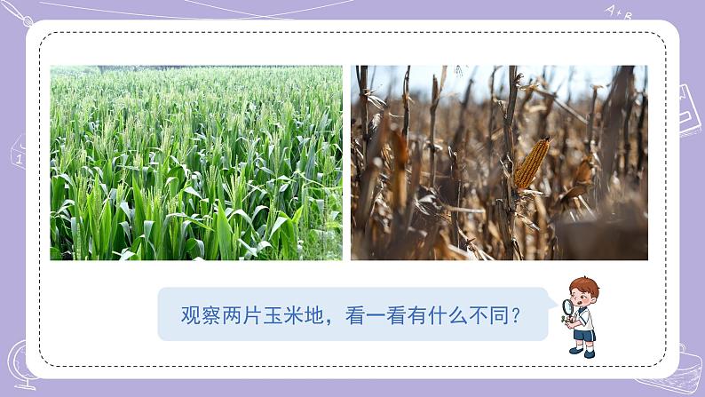 16.健康的土地 课件第2页