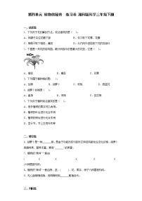 湘科版 (2017)三年級下冊第四單元 植物的秘密1 植物的“身體”綜合訓(xùn)練題