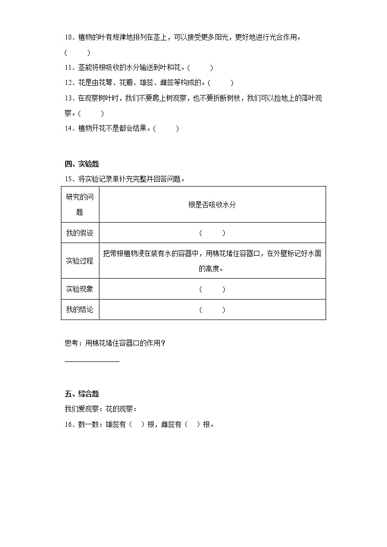 湘科版科学三年级下册 第四单元 植物的秘密 练习题 (含答案)第2页