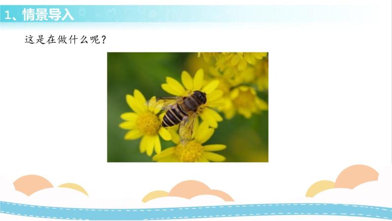 冀人版科学三年级下册3.1 蜜蜂传粉 授课课件+视频03