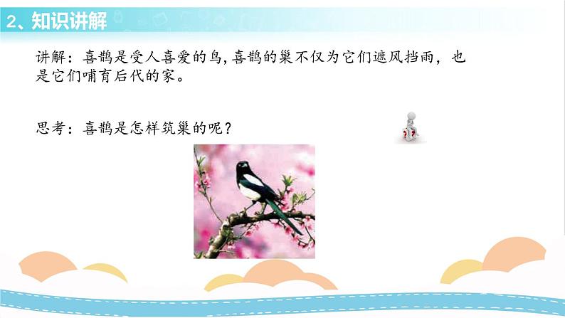 冀人版科学三年级下册3.2喜鹊筑巢 授课课件+视频04