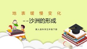 冀人版 (2017)五年级下册第9课 沙洲的形成精品ppt课件