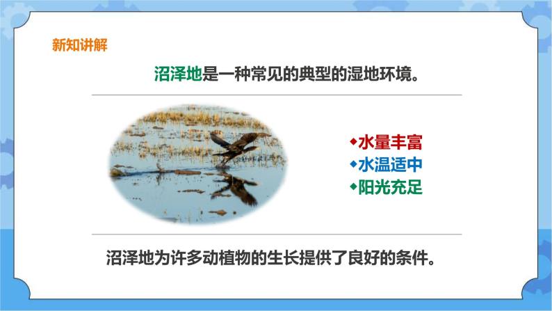 粤教粤科版六下科学3.14《生物生存的环境》课件+教案+练习+素材06