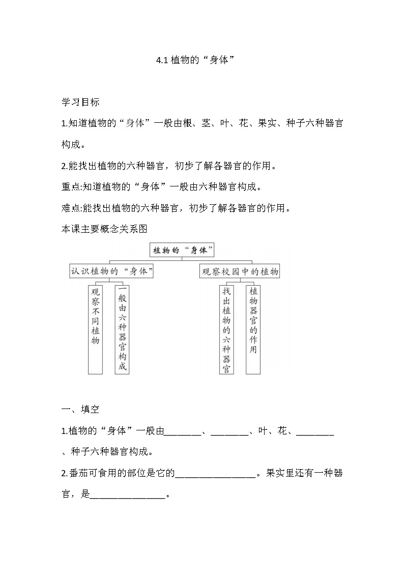 湘科版三年级下册科4.1 植物的“身体” 同步练习（含答案）01