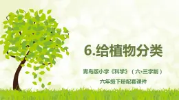 青岛版科学（2017）六三制六年级下册6.《.给植物分类》教学课件