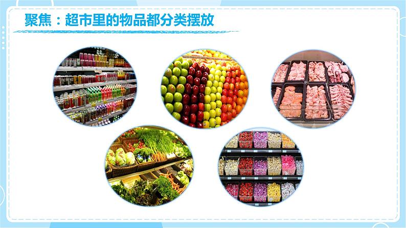 【教科版】一下科学 1.4 给物体分类 课件+教案+练习+素材03