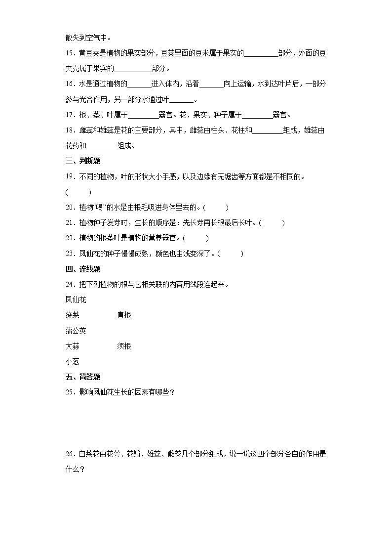 2021-2022学年度人教版三年级下册科学第二单元种凤仙花检测题(含答案)第2页