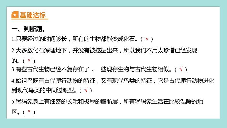 2.6 古代生物的多样性(习题课件)教科版(2017)六年级科学下册02