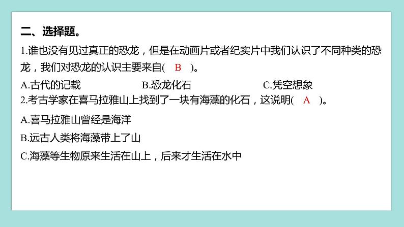 2.6 古代生物的多样性(习题课件)教科版(2017)六年级科学下册03