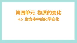 4.6 生命体中的化学变化（习题课件）教科版（2017）六年级科学下册