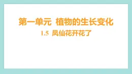 1.5 凤仙花开花了（习题课件）教科版（2017）四年级科学下册