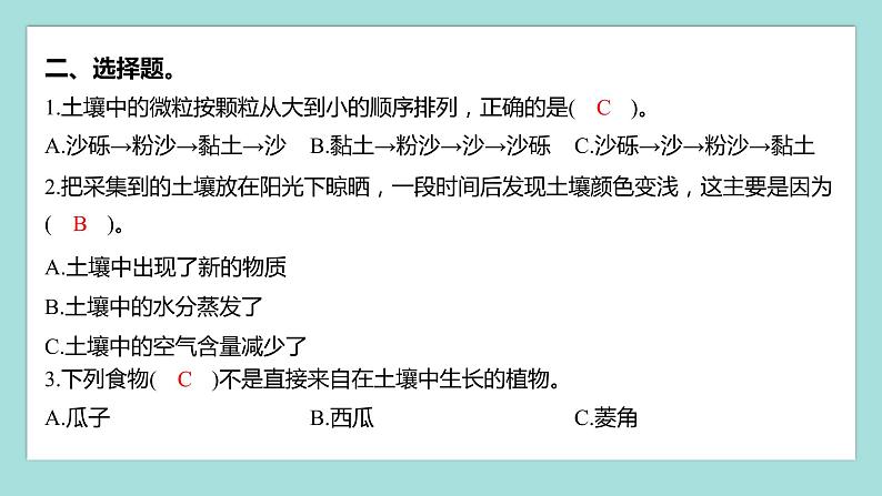 3.6 观察土壤(习题课件)教科版(2017)四年级科学下册03