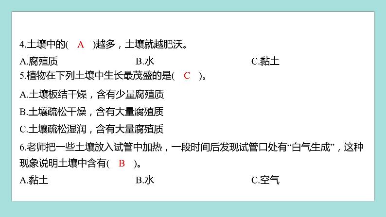 3.6 观察土壤(习题课件)教科版(2017)四年级科学下册04