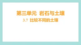 3.7 比较不同的土壤（习题课件）教科版（2017）四年级科学下册