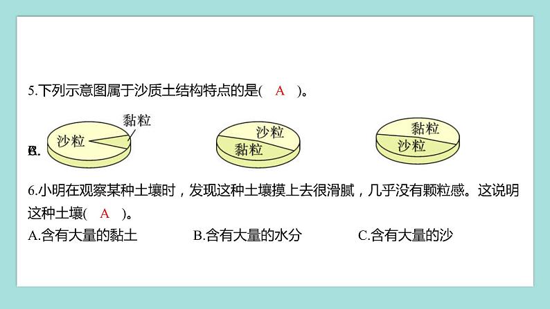 3.7 比较不同的土壤(习题课件)教科版(2017)四年级科学下册04