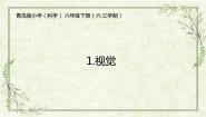 小学科学青岛版 (六三制2017)六年级下册视觉课文配套ppt课件