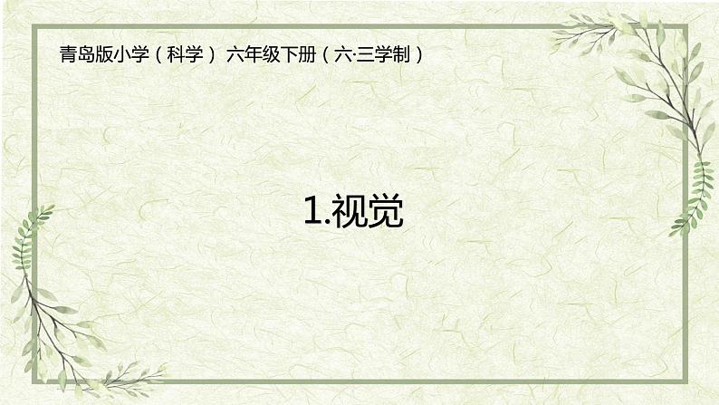 1.《视觉》(课件)01
