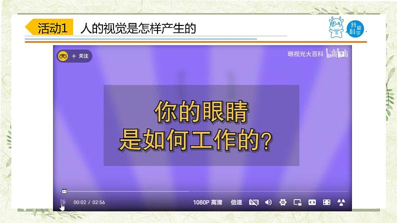 1.《视觉》(课件)06