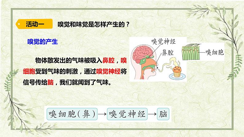 5《触觉》(课件)第1页