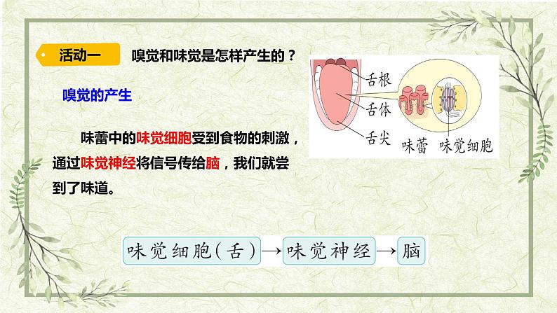 5《触觉》(课件)第2页
