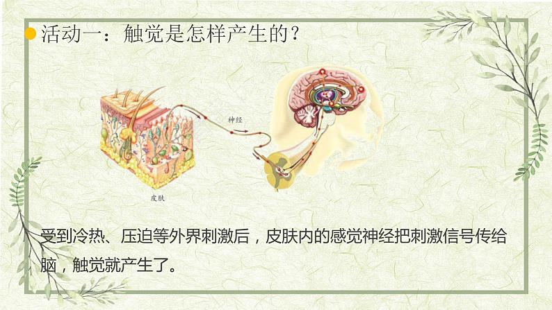 5《触觉》(课件)第6页