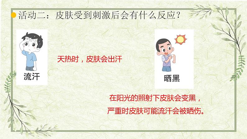 5《触觉》(课件)第7页