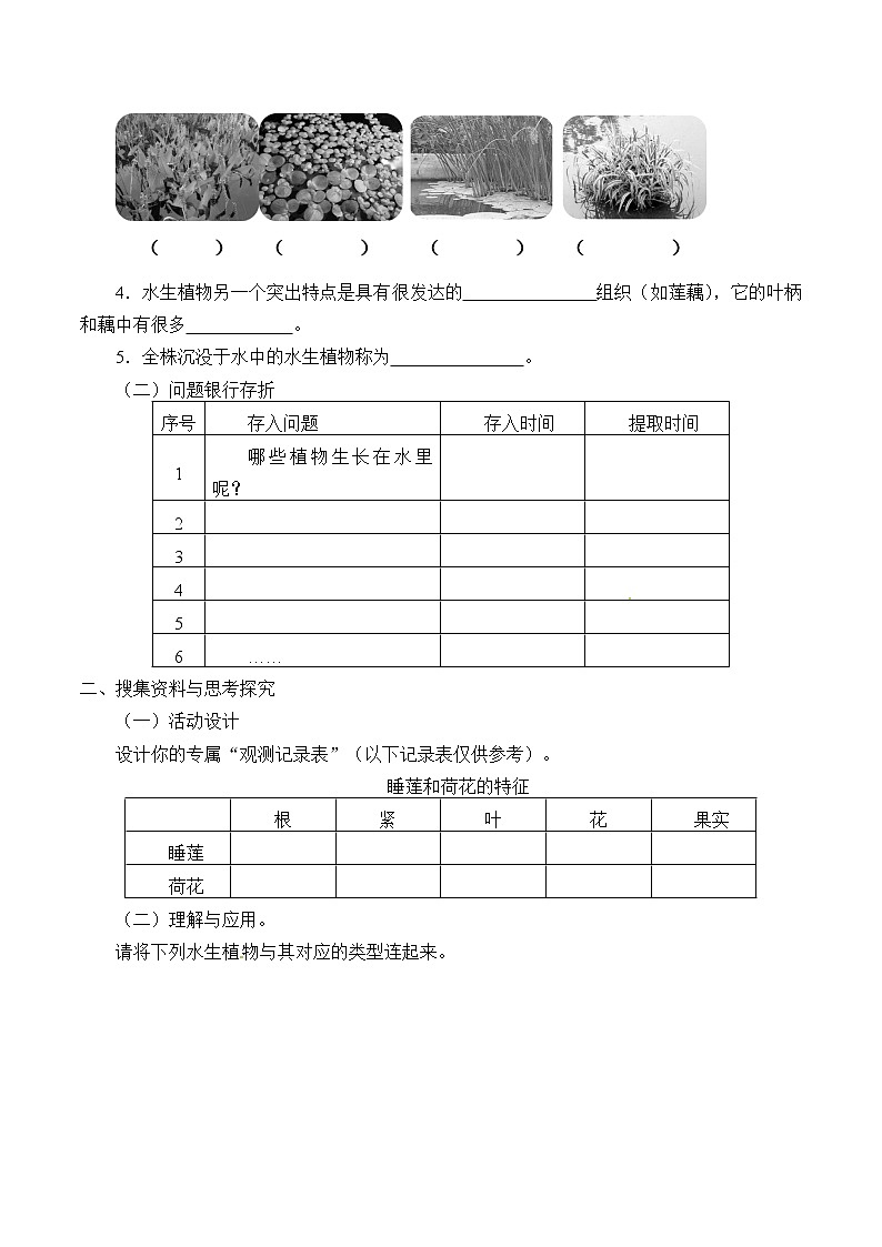 粤教版科学四下 5.睡莲和荷花 学案(无答案)02