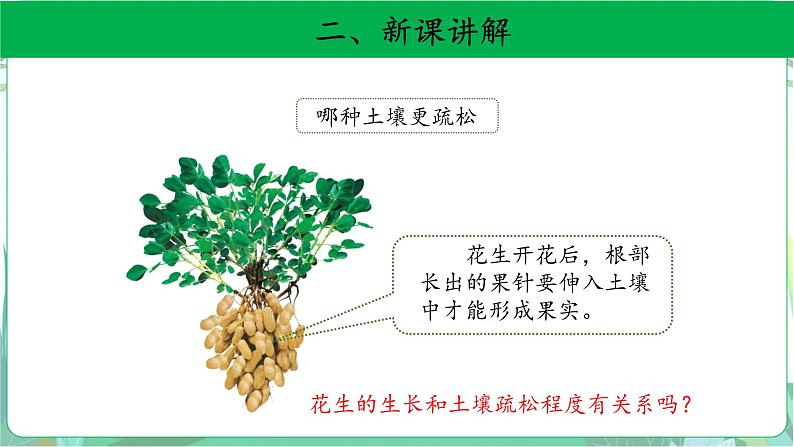 粤教版科学三下 3 土壤与植物 课件05