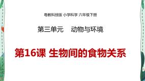 小学科学粤教粤科版 (2017)六年级下册16 生物间的食物关系多媒体教学课件ppt