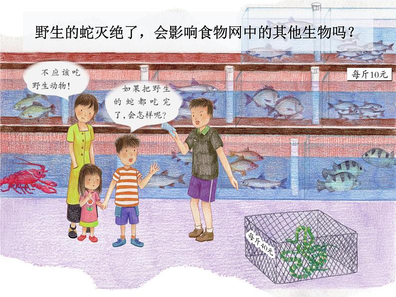 粤教版六下科学 第17课《食物网中的生物》课件第2页