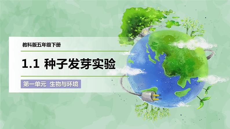 1.1 种子发芽实验(课件)-2022-2023学年五年级科学下册同步备课(教科版)01