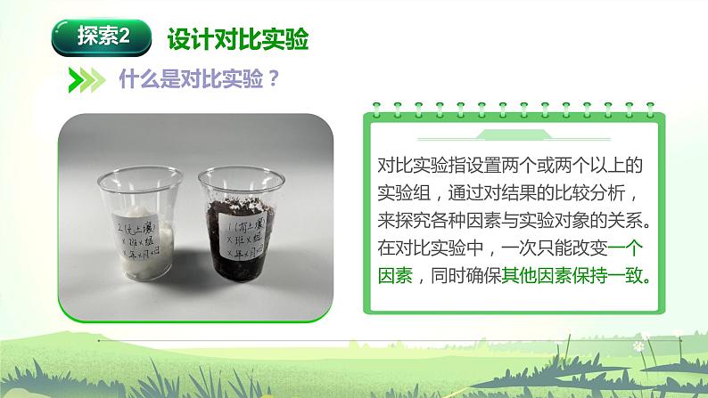 1.1 种子发芽实验(课件)-2022-2023学年五年级科学下册同步备课(教科版)04