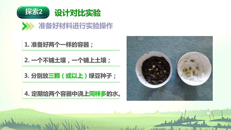 1.1 种子发芽实验(课件)-2022-2023学年五年级科学下册同步备课(教科版)06