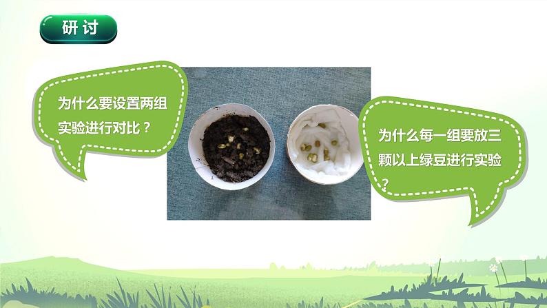 1.1 种子发芽实验(课件)-2022-2023学年五年级科学下册同步备课(教科版)08