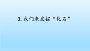 小学湘科版 (2017)3 我们来发掘“化石”教课课件ppt
