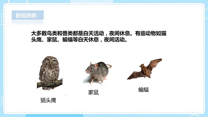 【人教鄂鄂教版】五下科学 1.1《白天与黑夜》(课件+教案+练习)08