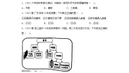 小学科学教科版 (2017)六年级下册3.形形色色的植物练习题