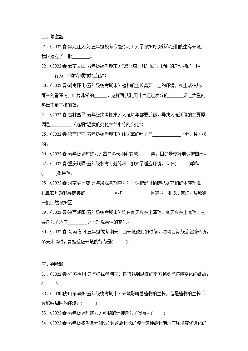 5.当环境改变了第3页