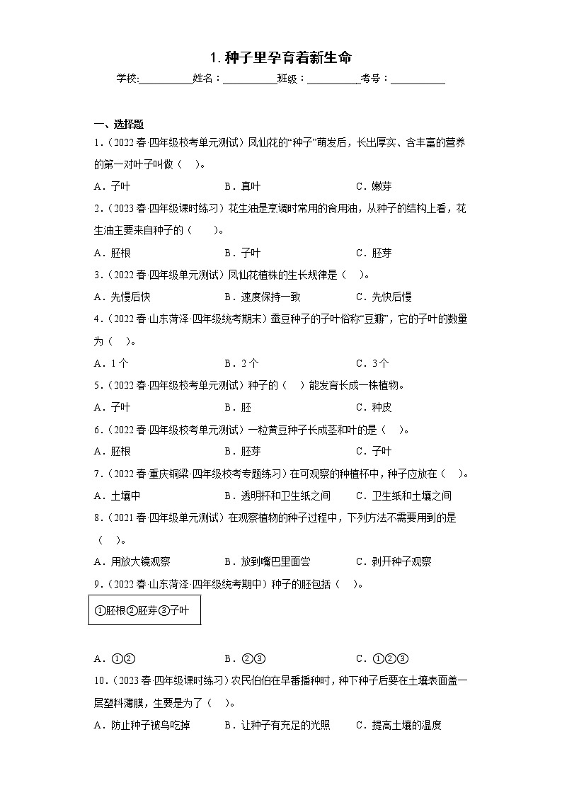 1.种子里孕育着新生命第1页