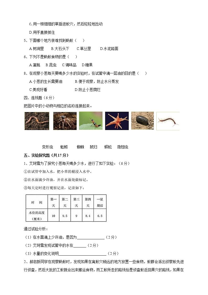 苏教版科学二年级下册第三单元《土壤与生命》测试卷第2页