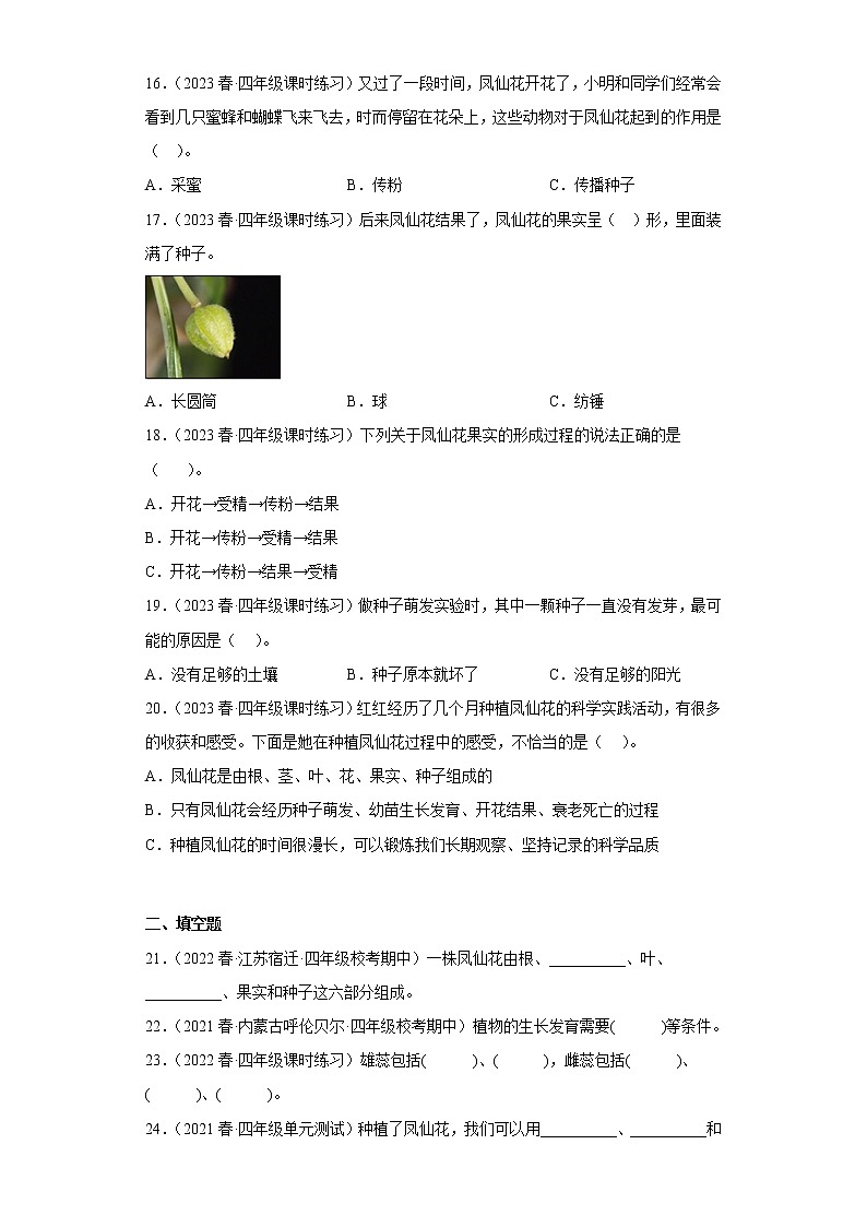 2.种植凤仙花第3页