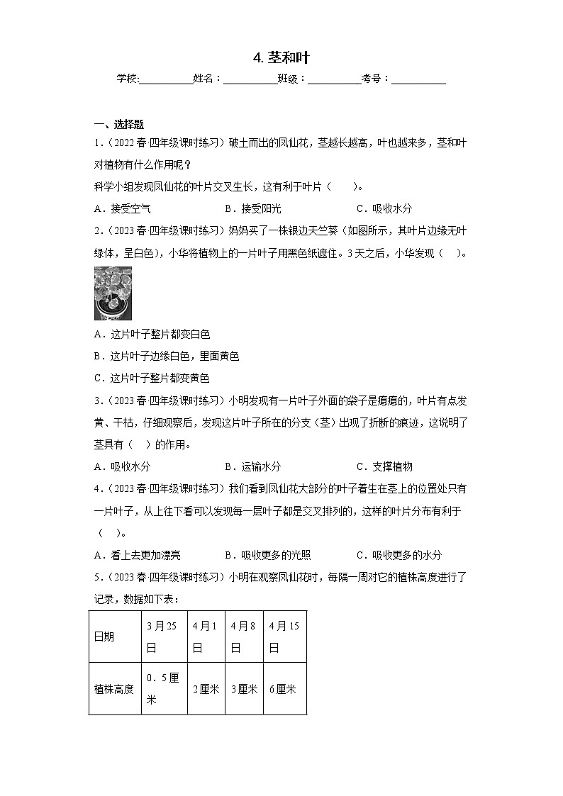 4.茎和叶 练习01
