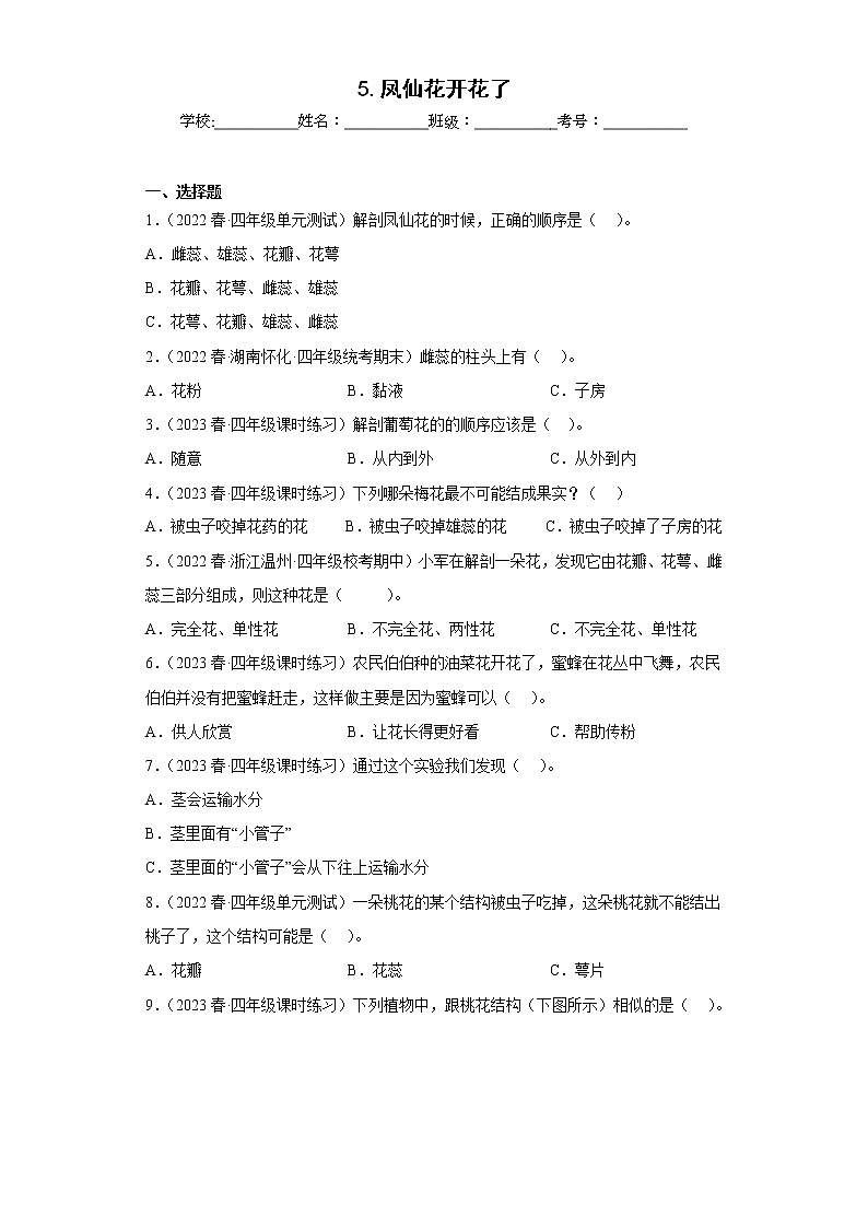 5.凤仙花开花了 练习01