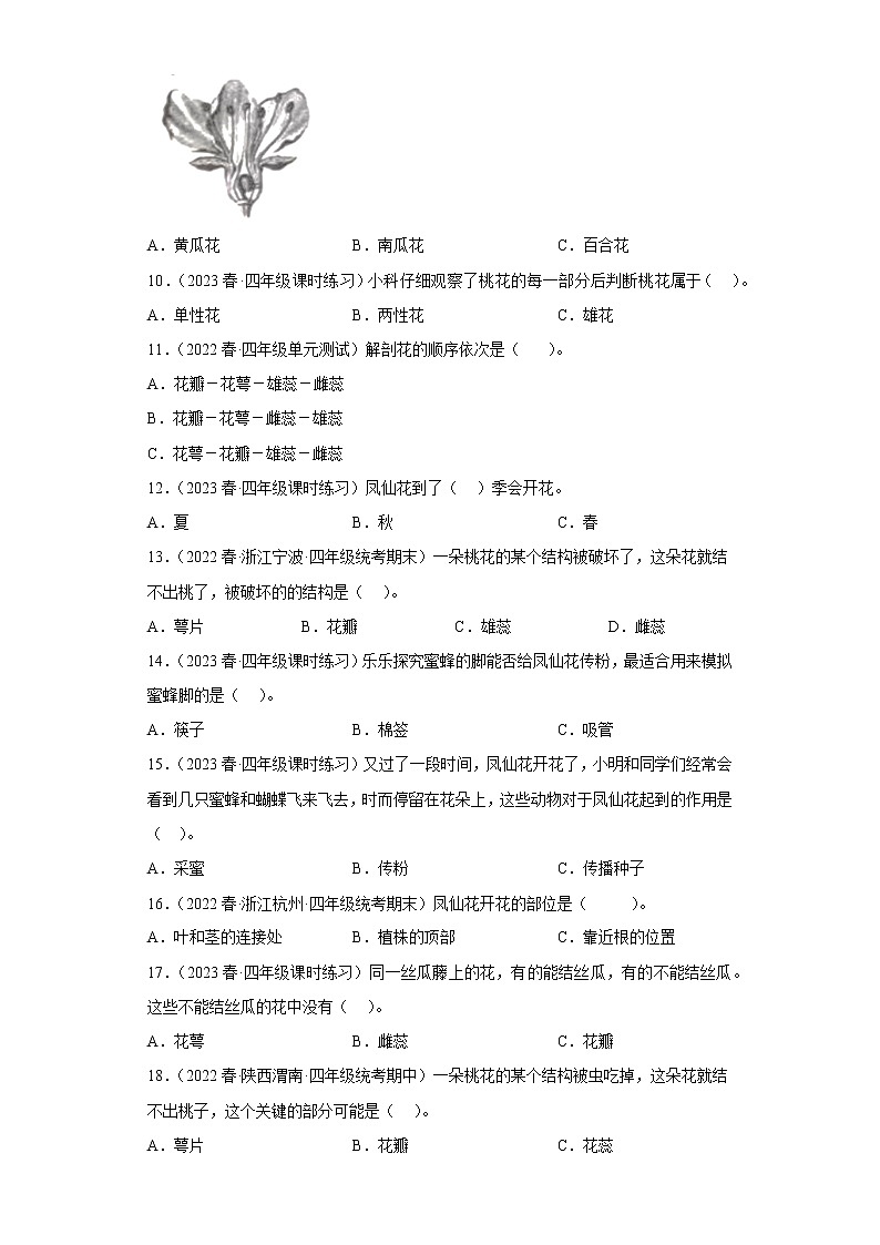 5.凤仙花开花了 练习02