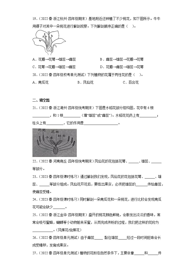 5.凤仙花开花了 练习03