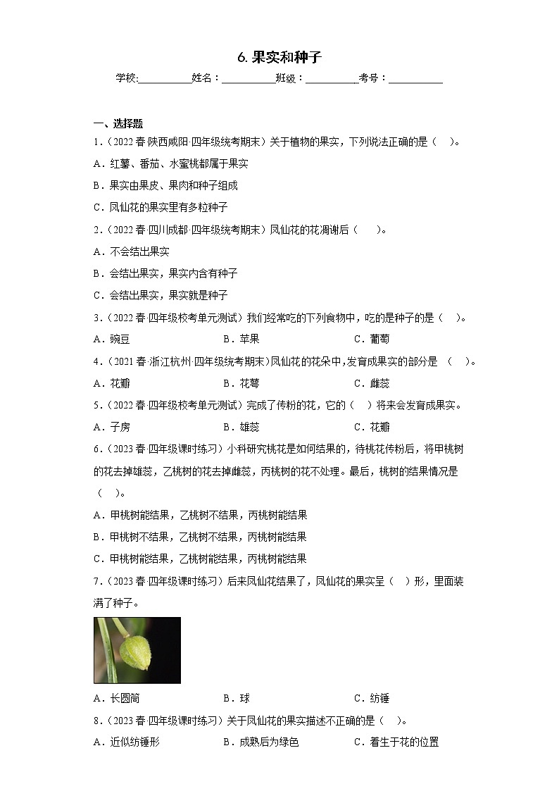 6.果实和种子 练习01