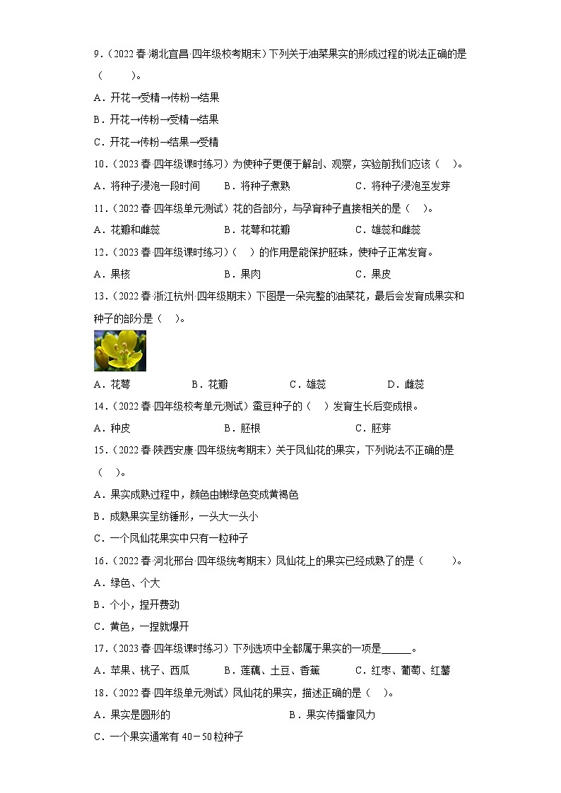 6.果实和种子 练习02
