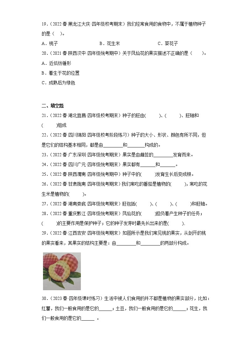 6.果实和种子 练习03