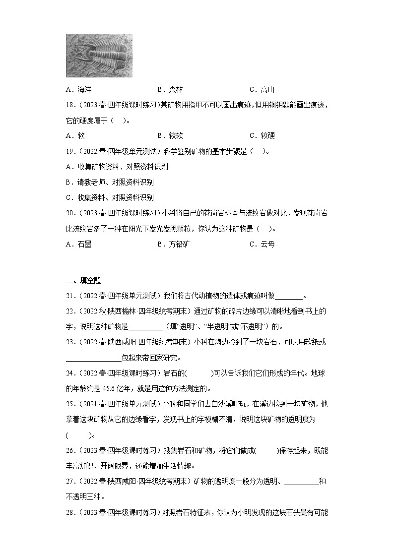 3.5岩石、沙和黏土 练习03